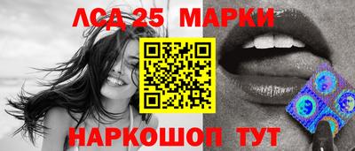 гидропоника Будённовск