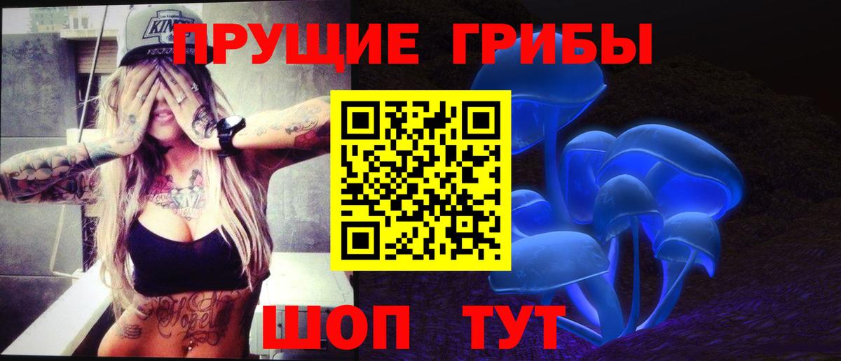 Псилоцибиновые грибы Cubensis  Псилоцибиновые грибы GOLDEN TEACHER  Вход с VPN  Ревда 